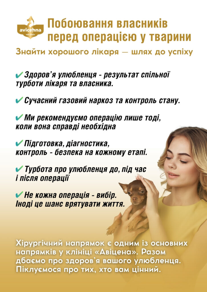 Побоювання власників перед операцією у тварини