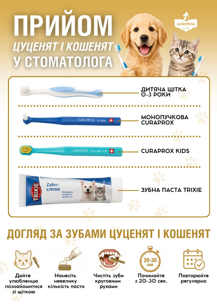 Прийом цуценят і кошенят у стоматолога. Про що говоримо?