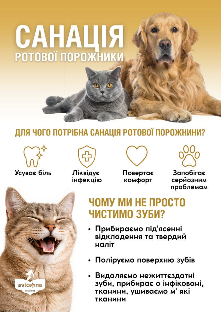 Як зрозуміти, що санація ротової порожнини у кота або собаки пройшла вдало?
