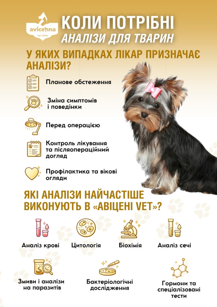 Коли потрібні аналізи для тварин?