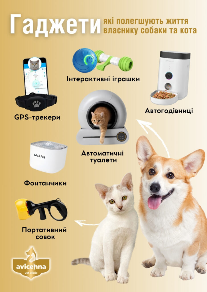 Гаджети, які полегшують життя власнику і собаці чи коту