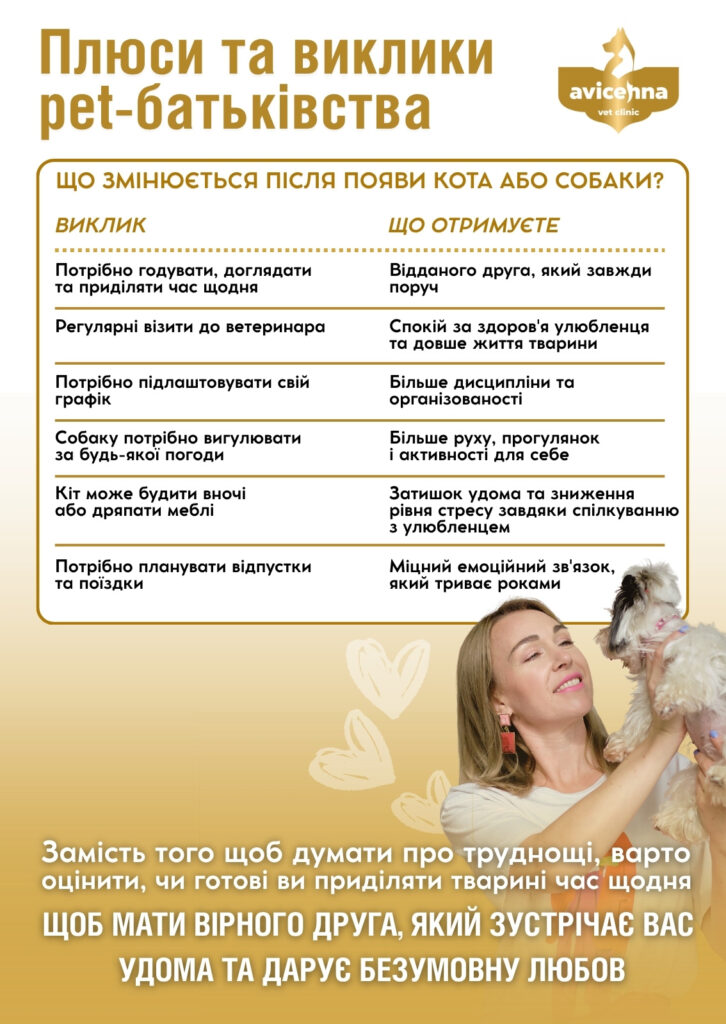 З якими проблемами стикаються власники тварин і плюси володіння котом або собакою