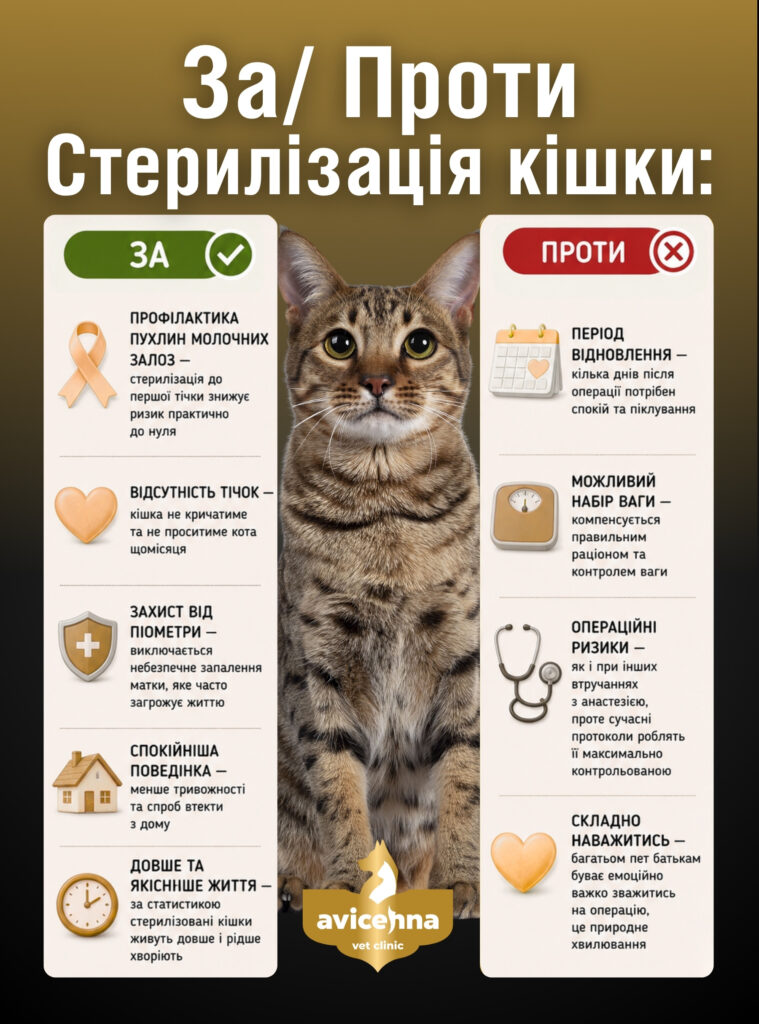 Що потрібно знати перед стерилізацією чи кастрацією тварин?