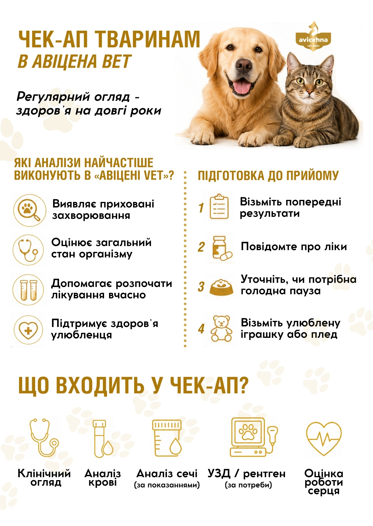 Чекап тваринам в Авіцена Вет