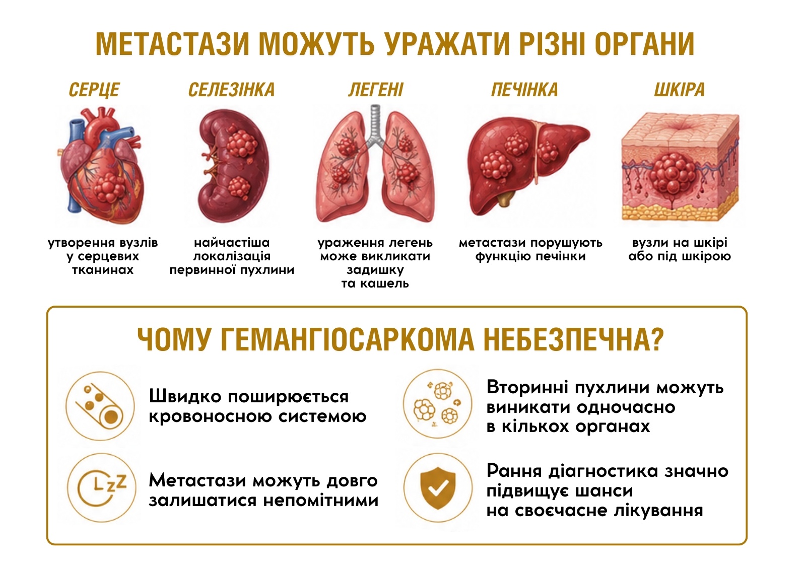 Консультація онколога для тварин Львів