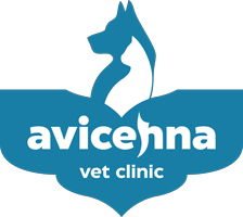 Ветеринарна клініка AvicenaVet